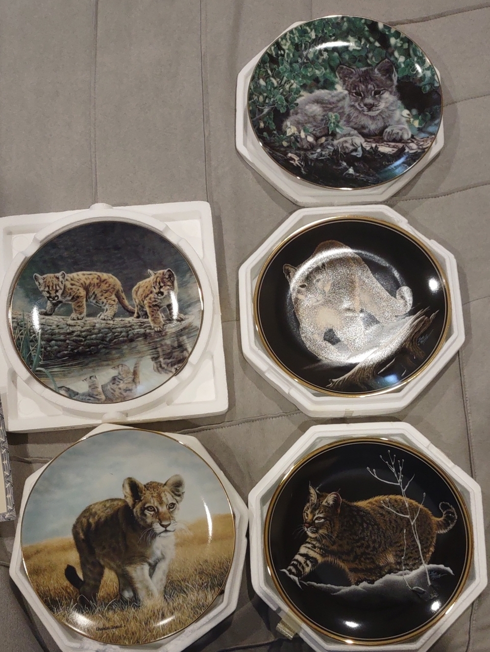 Wildlife Decorative Plates Cat Designs Charles Frace
